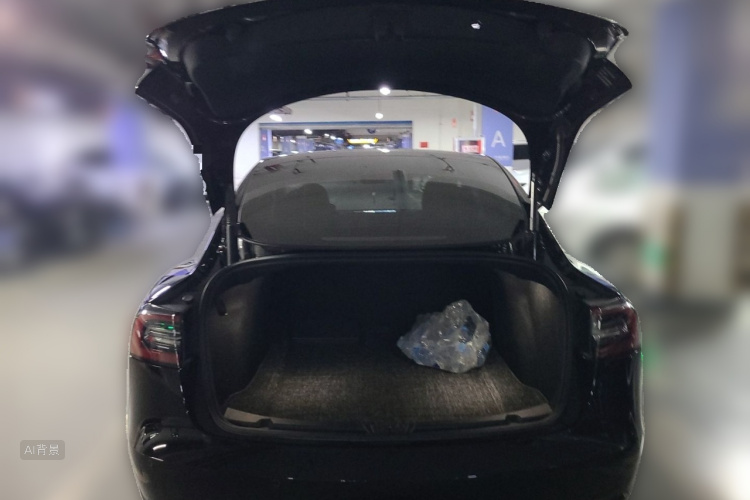 Tesla Model 3 2021 car image #21