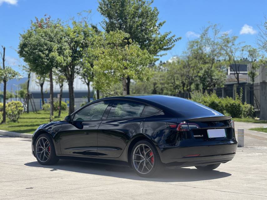 Tesla Model 3 2023 car image #6