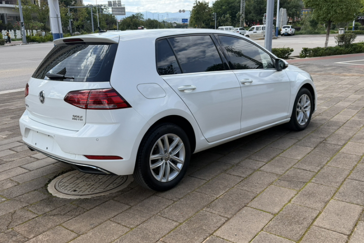 Volkswagen Golf 2019 car image #8
