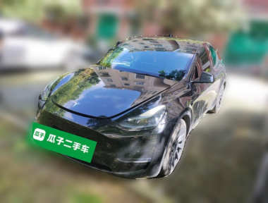 Tesla Model Y 2021 Tesla Model Y 2021 car image