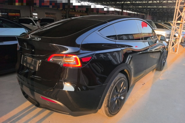 Tesla Model Y 2023 #7 Tesla Model Y 2023 car image #7