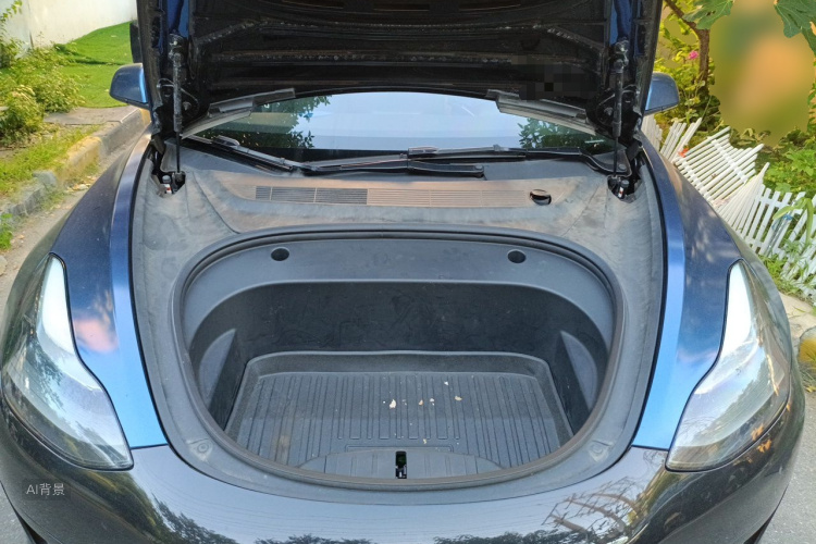 Tesla Model 3 2021 car image #22