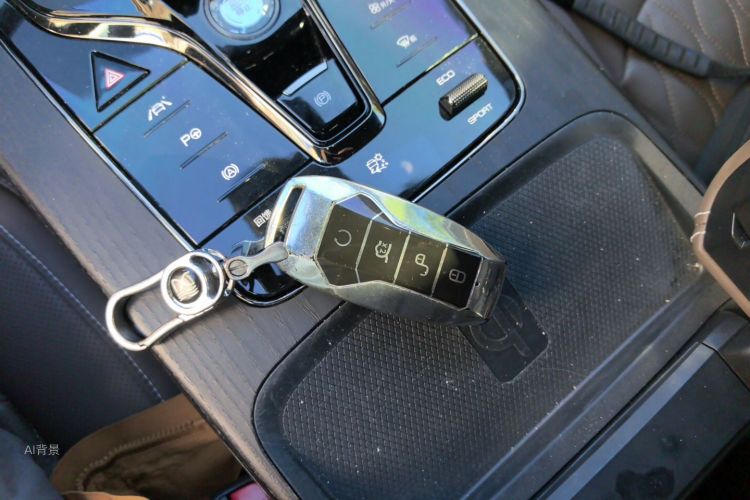 BYD Han 2020 #10 BYD Han 2020 immagine di auto #10