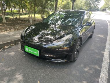 Tesla Model 3 2023 Tesla Model 3 2023 car image