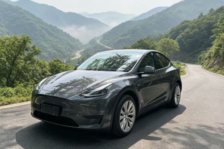 Tesla Model Y 2024 #2 Tesla Model Y 2024 car image #2