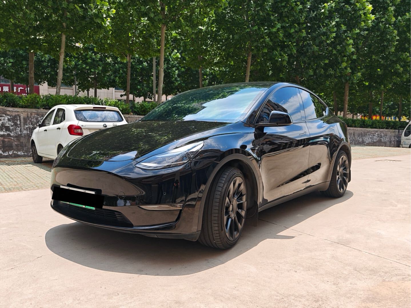 Tesla Model Y 2022 car image 