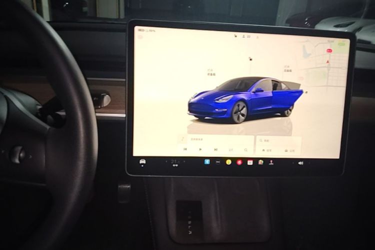 Tesla Model 3 2022 car image #16