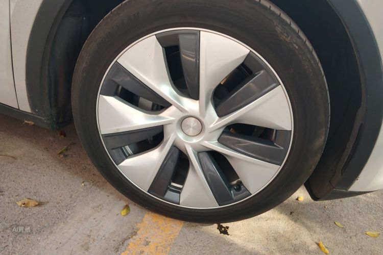Tesla Model Y 2023 car image #9