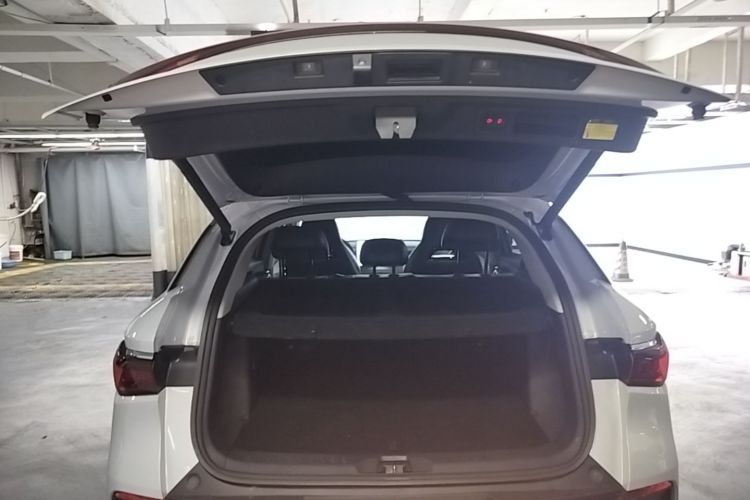 BYD Yuan Plus 2022 #19 BYD Yuan Plus 2022 immagine di auto #19