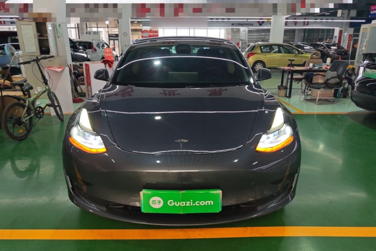 Tesla Model 3 2021 immagine di auto #3