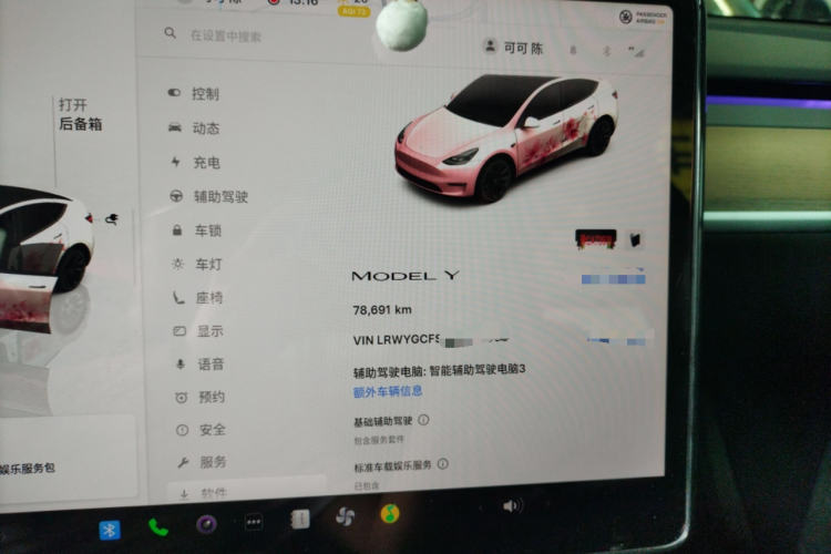 Tesla Model Y 2023 car image #12