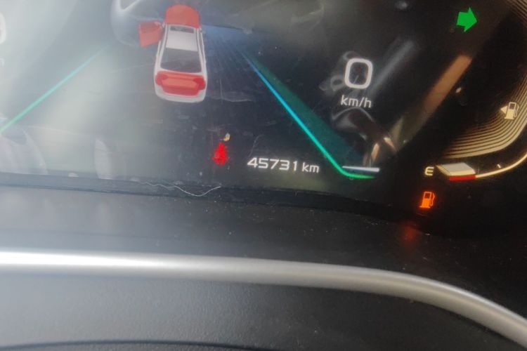 GEELY Emgrand 2019 immagine di auto #8