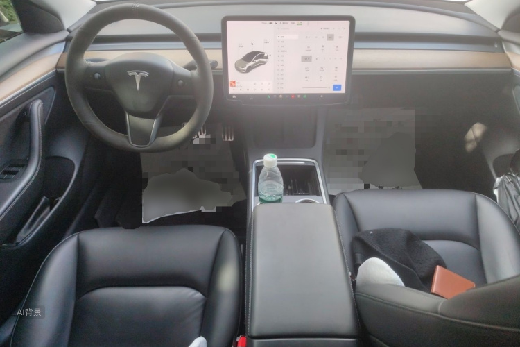 Tesla Model 3 2021 car image #11