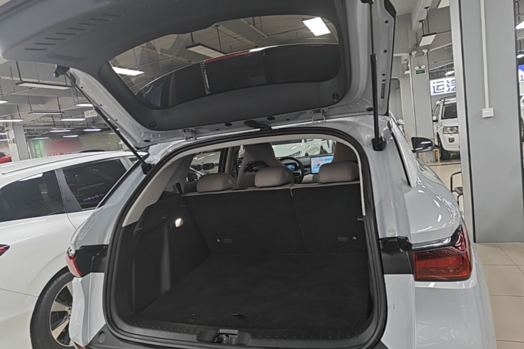 BYD Yuan Plus 2023 car image #19