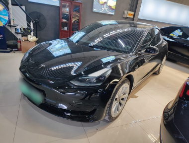 Tesla Model 3 2022 Tesla Model 3 2022 immagine di auto