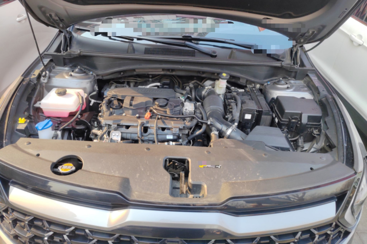 起亚 狮铂拓界 2024 汽车图片 #22