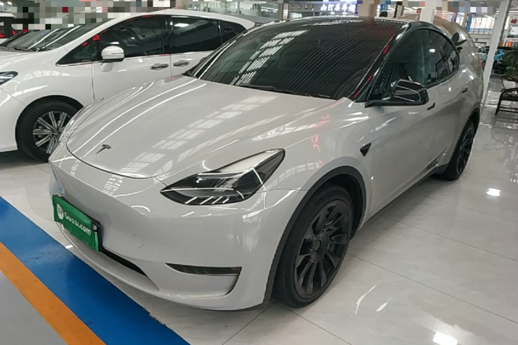 Tesla Model Y 2021 #2 Tesla Model Y 2021 car image #2