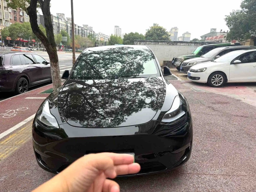 Tesla Model Y 2021 #2 Tesla Model Y 2021 car image #2