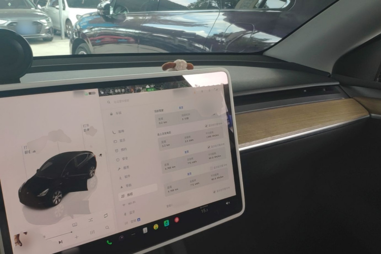 Tesla Model Y 2023 #10 Tesla Model Y 2023 car image #10