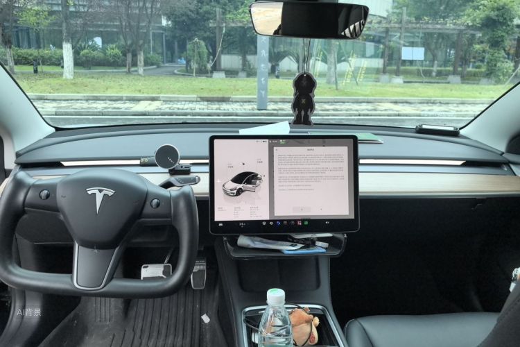 Tesla Model 3 2023 car image #11
