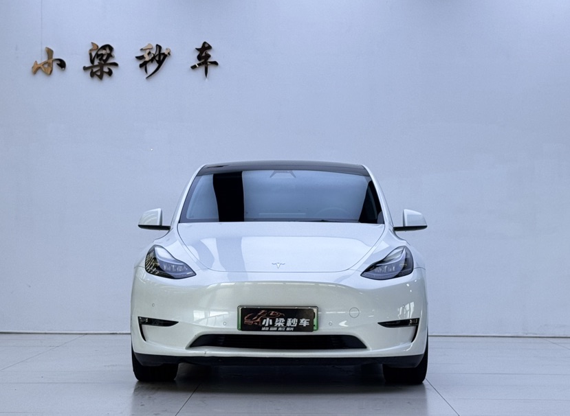 Tesla Model Y 2023 #2 Tesla Model Y 2023 car image #2