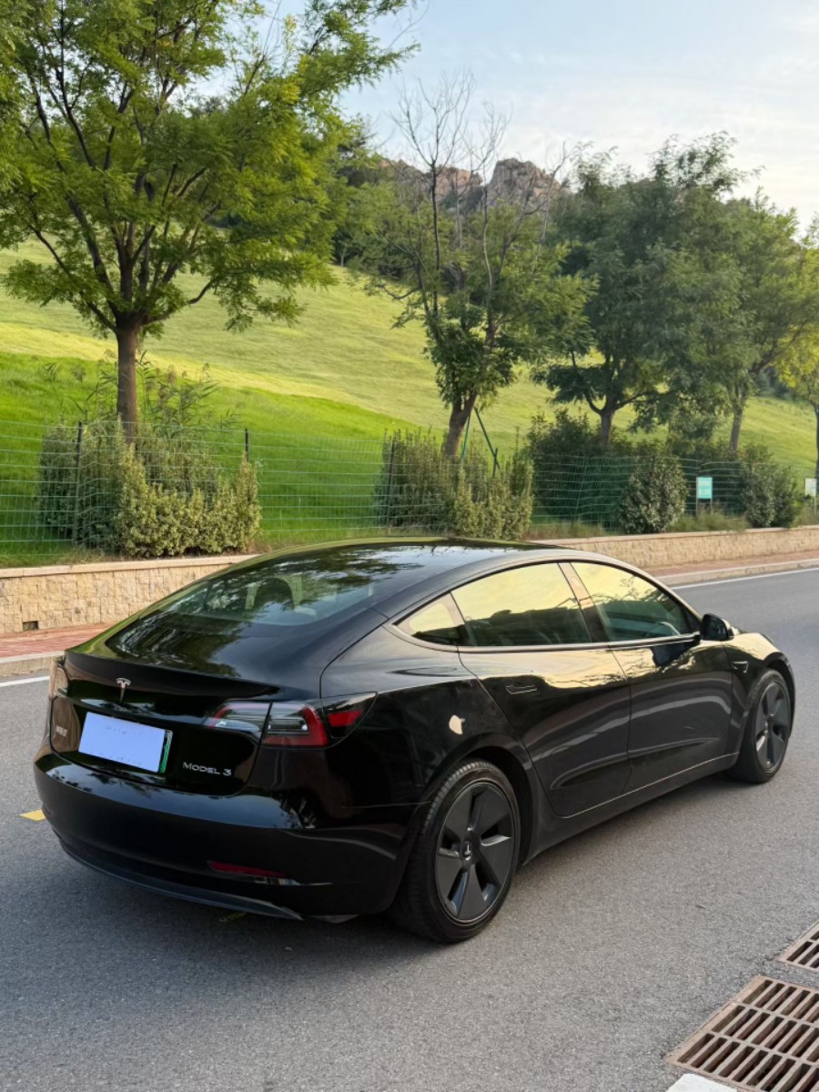 Tesla Model 3 2021 car image #7