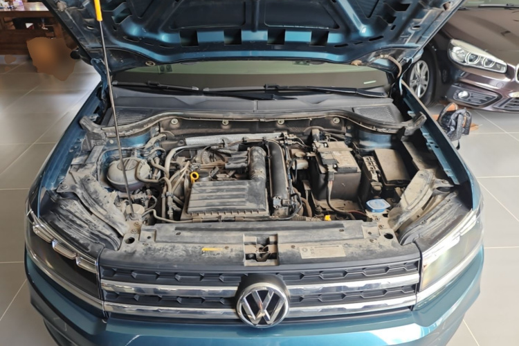 Volkswagen Tharu 2019 car image #20