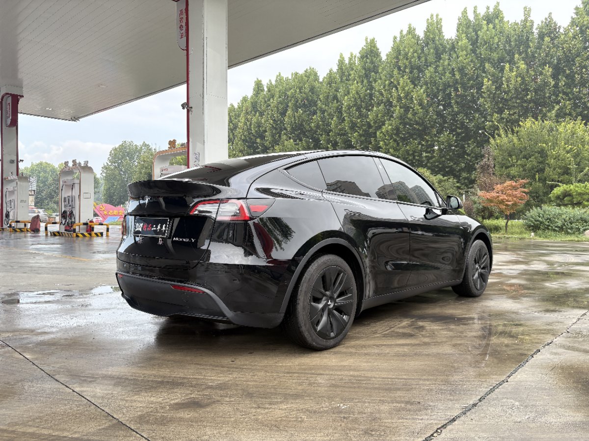 Tesla Model Y 2023 car image #9