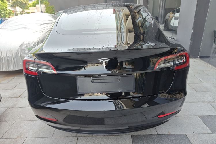 Tesla Model 3 2021 #6 Tesla Model 3 2021 car image #6