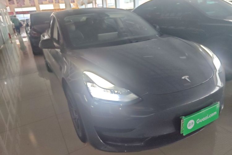 Tesla Model 3 2020 car image #6