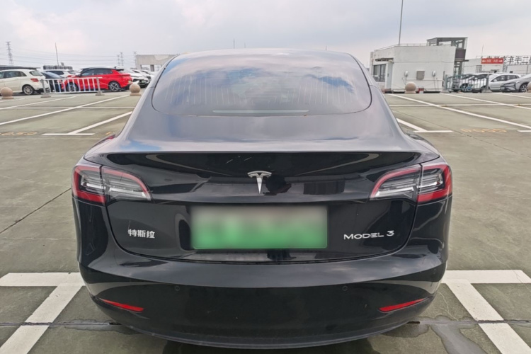 Tesla Model 3 2020 #6 Tesla Model 3 2020 car image #6