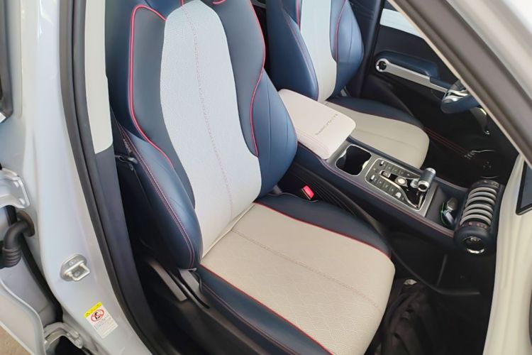 BYD Yuan Plus 2022 #27 BYD Yuan Plus 2022 car image #27