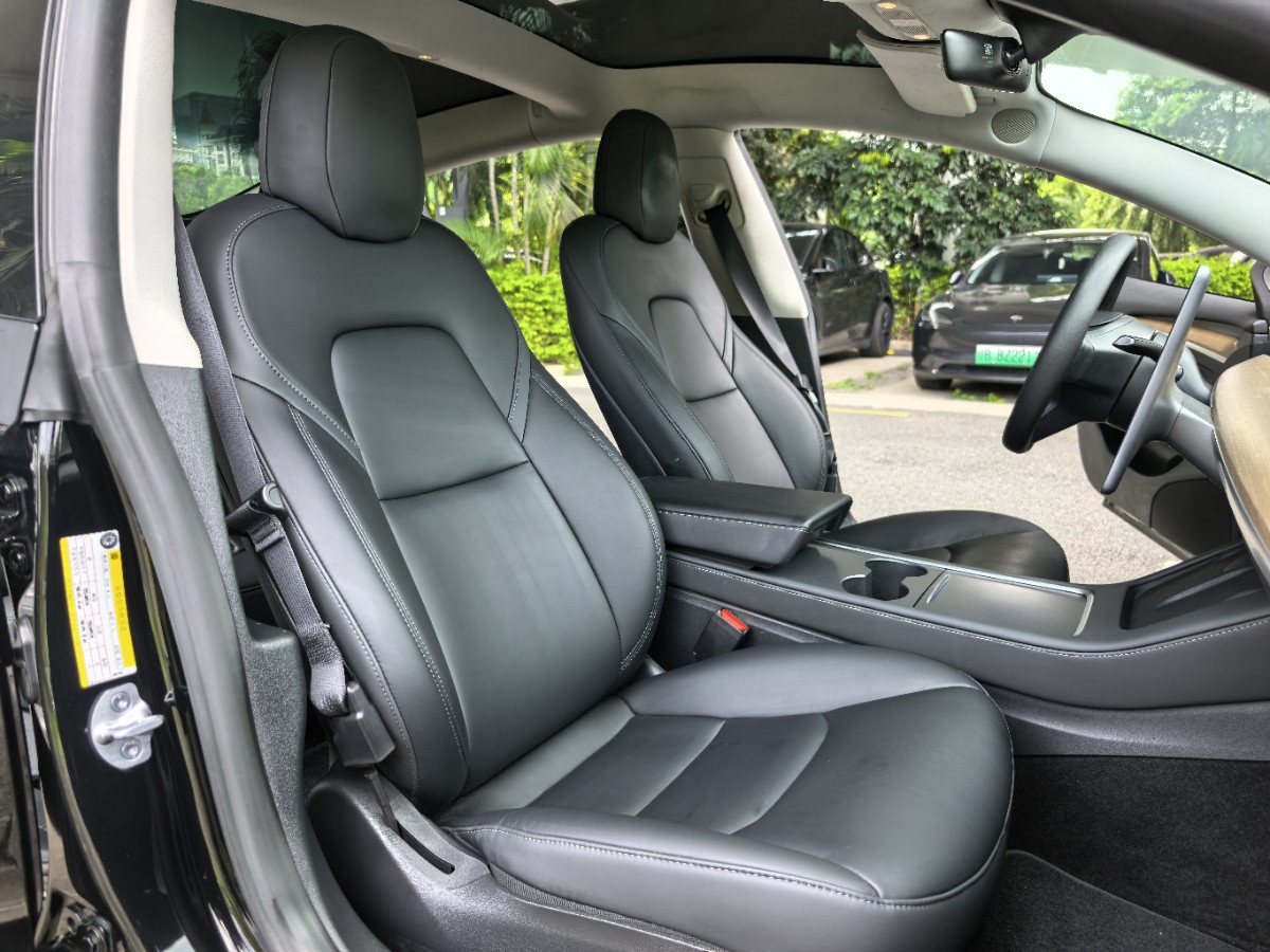 Tesla Model 3 2023 car image #7
