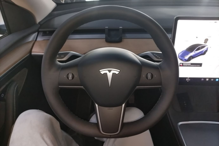 Tesla Model Y 2021 #11 Tesla Model Y 2021 car image #11