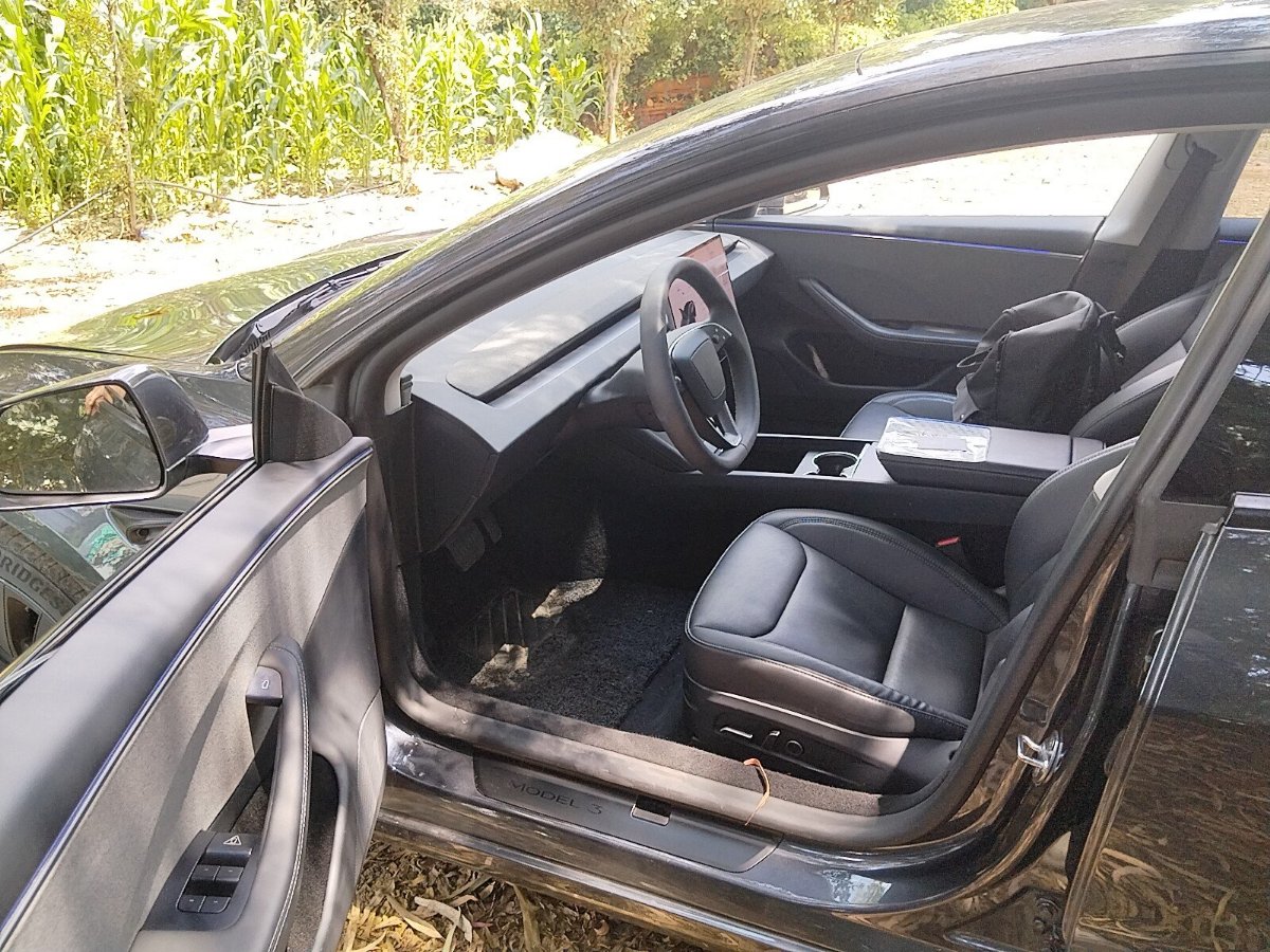 Tesla Model 3 2025 #3 Tesla Model 3 2025 car image #3