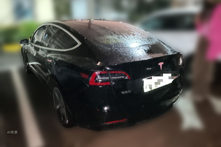 Tesla Model 3 2020 car image #5