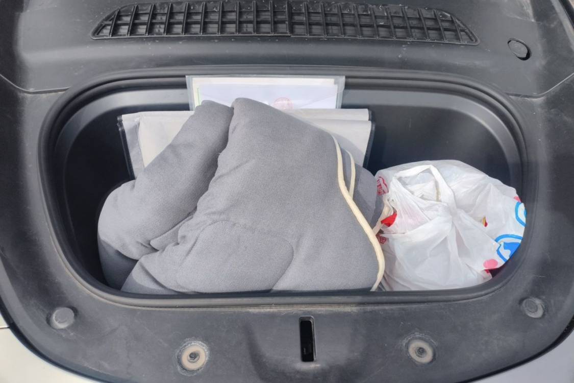 Tesla Model Y 2024 car image #10