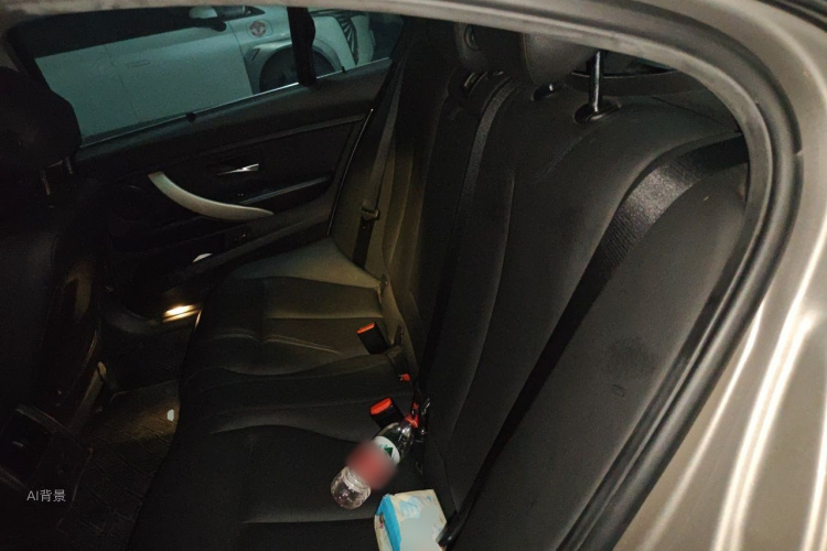 BMW 3 Series 2016 car image #19