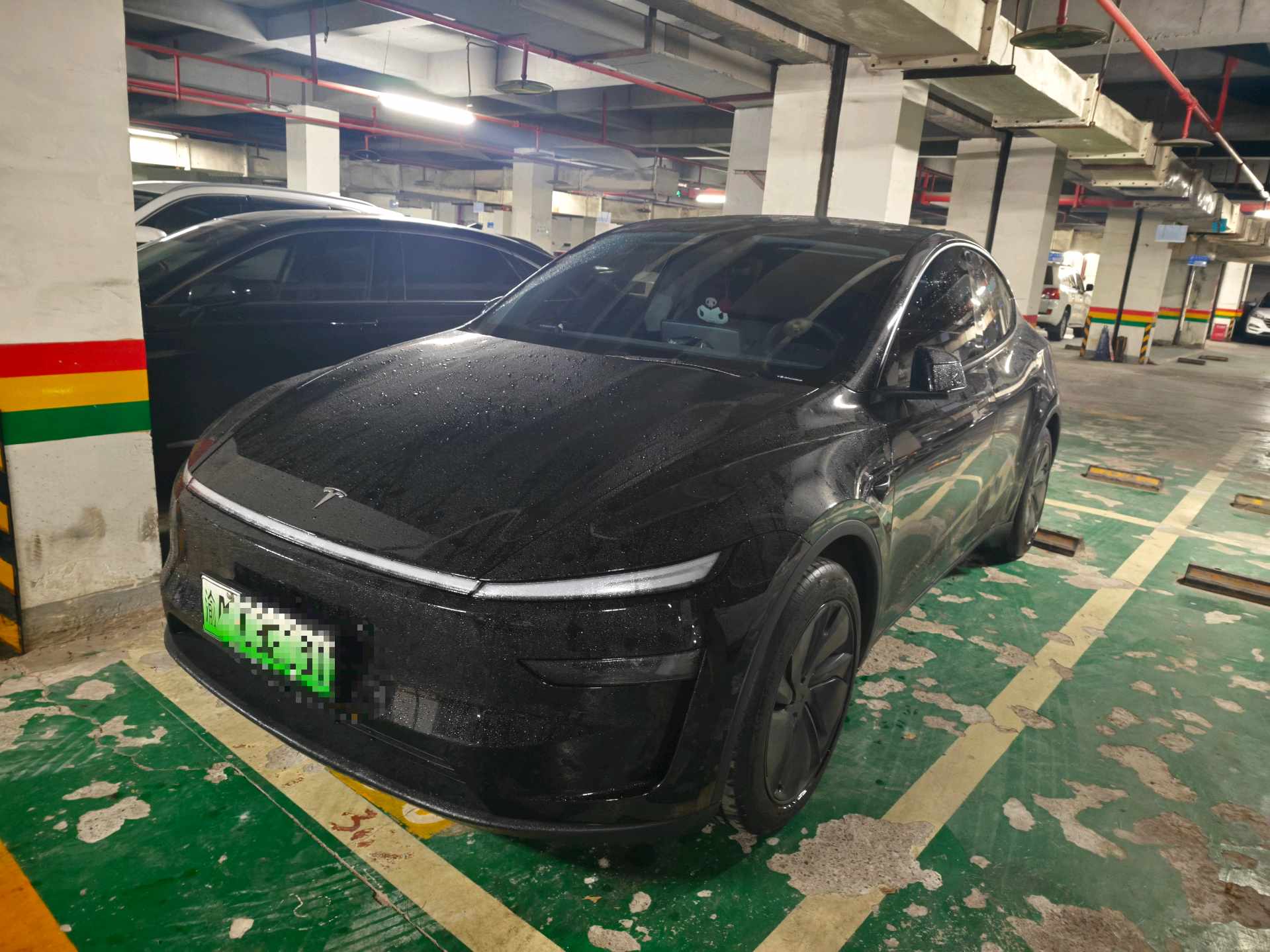 Tesla Model Y 2025 car image 