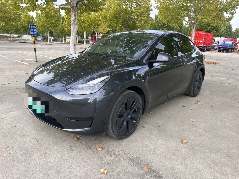 Tesla Model Y 2024 Tesla Model Y 2024 car image