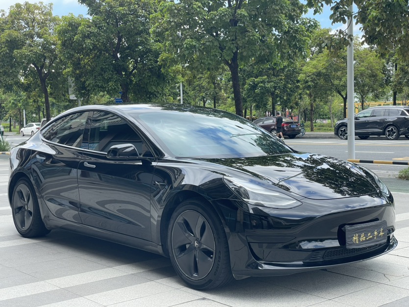 Tesla Model 3 2020 #3 Tesla Model 3 2020 car image #3
