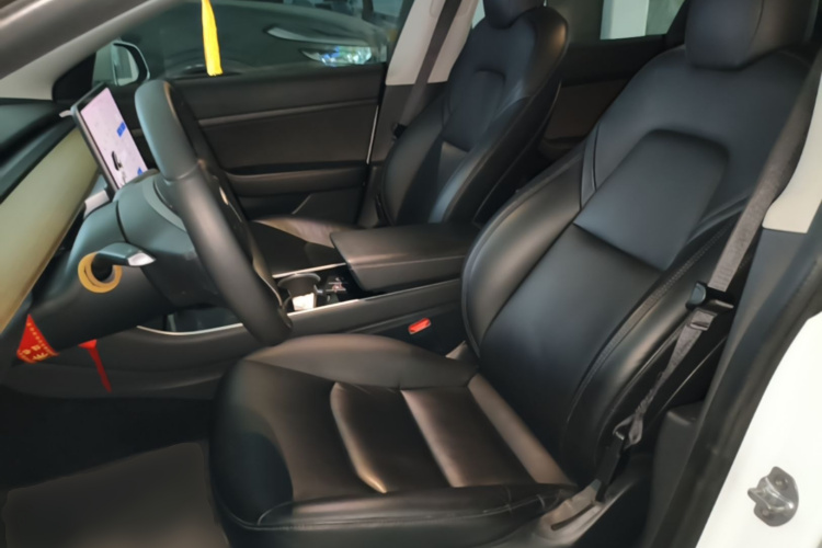 Tesla Model 3 2020 car image #15