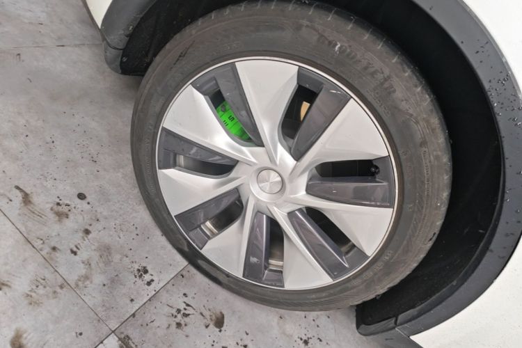 Tesla Model Y 2023 #10 Tesla Model Y 2023 car image #10