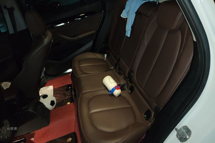 BMW X1 2020 car image #19