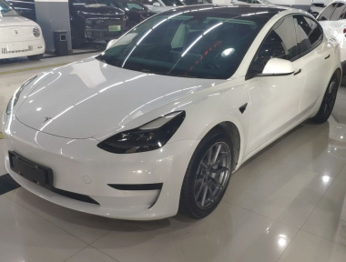 Tesla Model 3 2021 Tesla Model 3 2021 car image