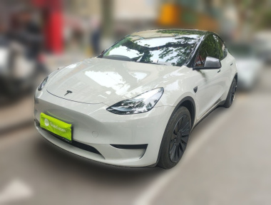 Tesla Model Y 2024 Tesla Model Y 2024 car image