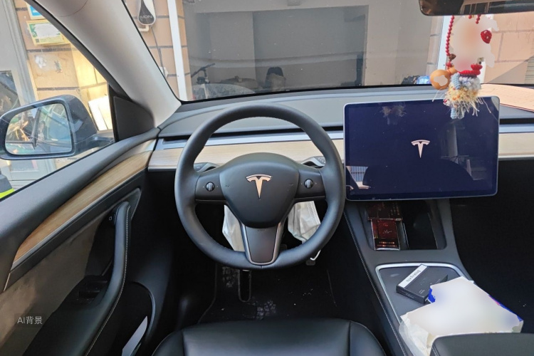 Tesla Model Y 2021 car image #12