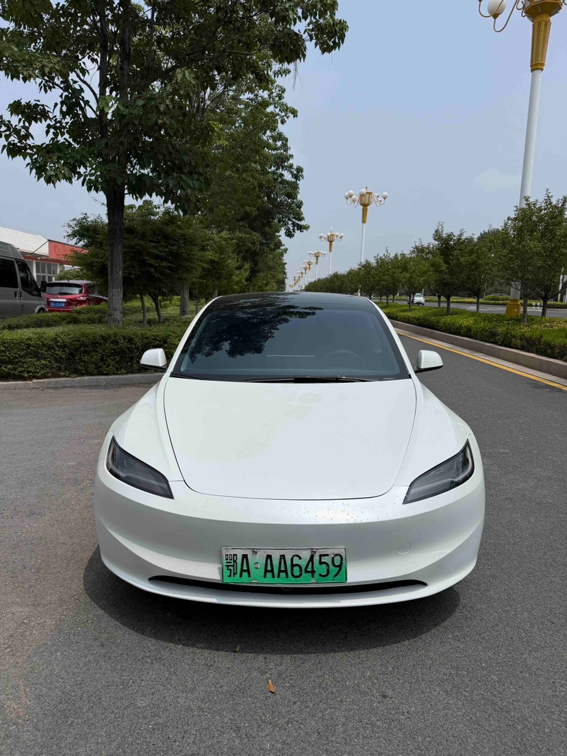Tesla Model 3 2025 #2 Tesla Model 3 2025 immagine di auto #2