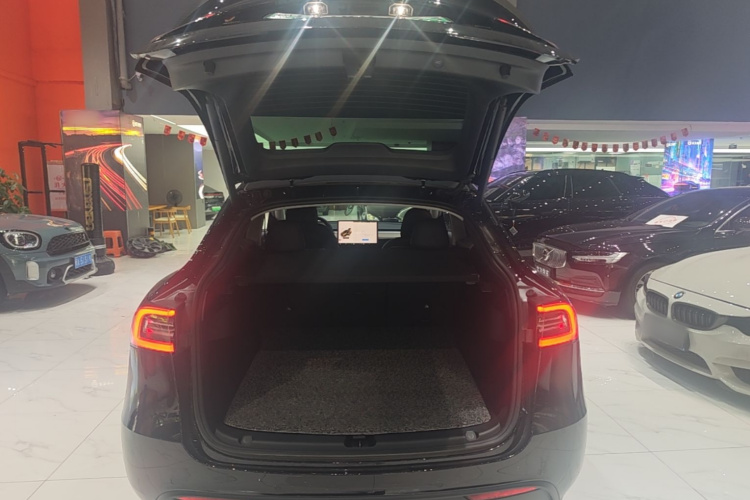 Tesla Model Y 2022 #19 Tesla Model Y 2022 car image #19