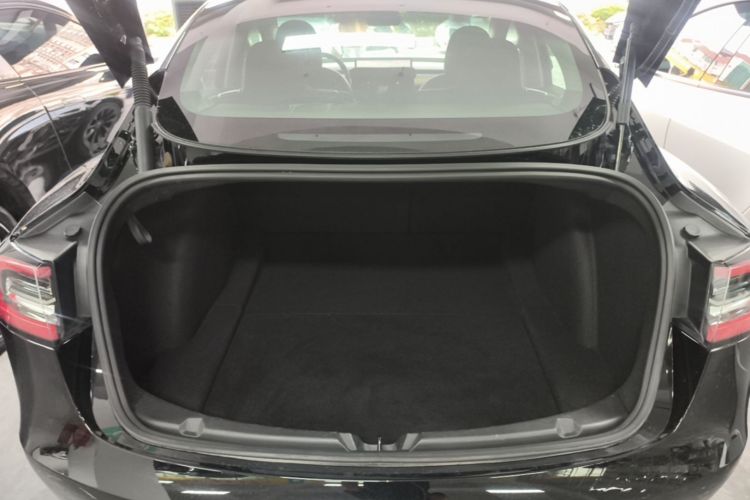 Tesla Model 3 2021 car image #21